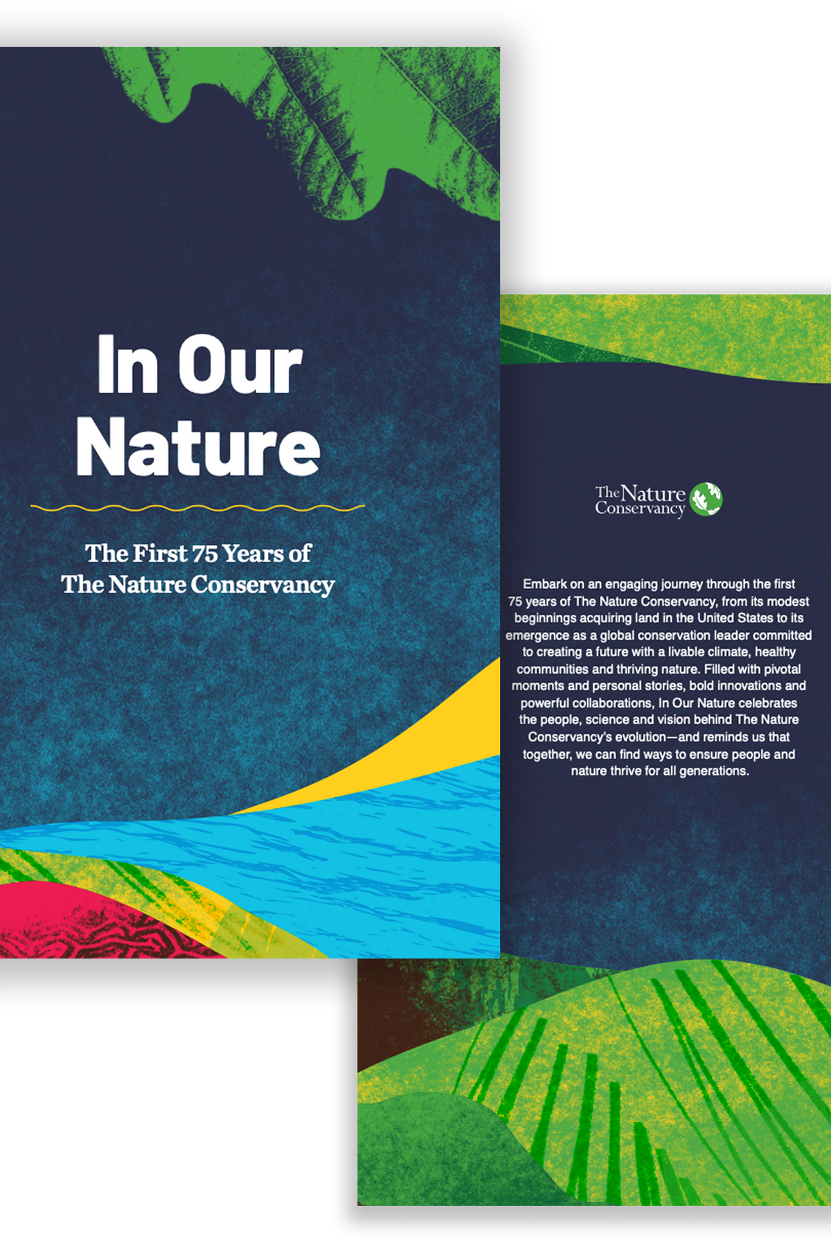 Front and Back Covers - History Book