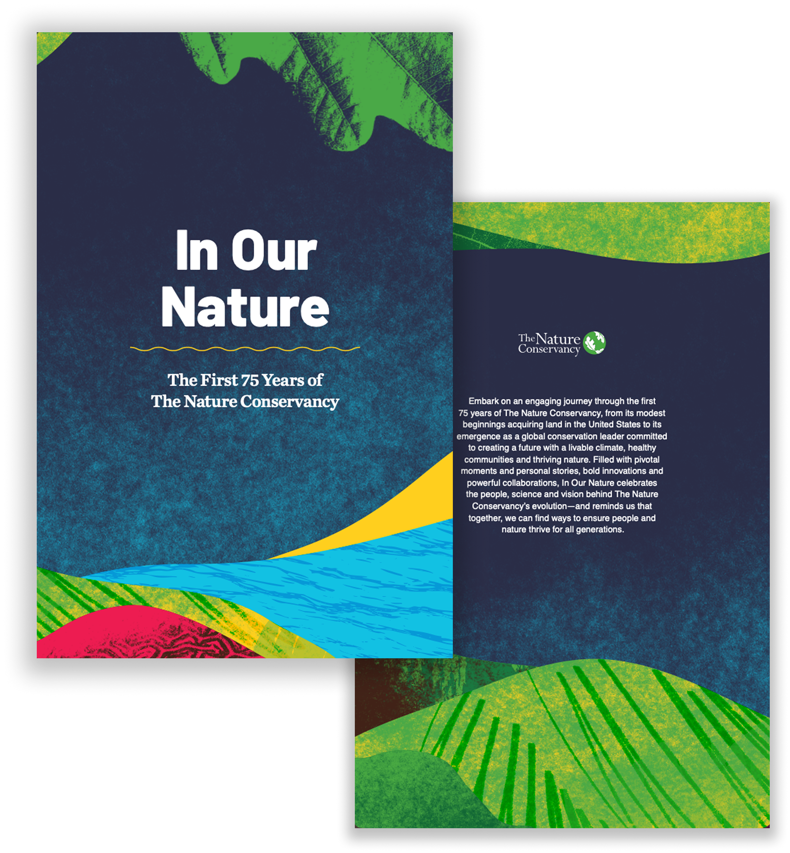 Front and Back Covers - History Book