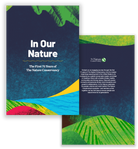 Front and Back Covers - History Book