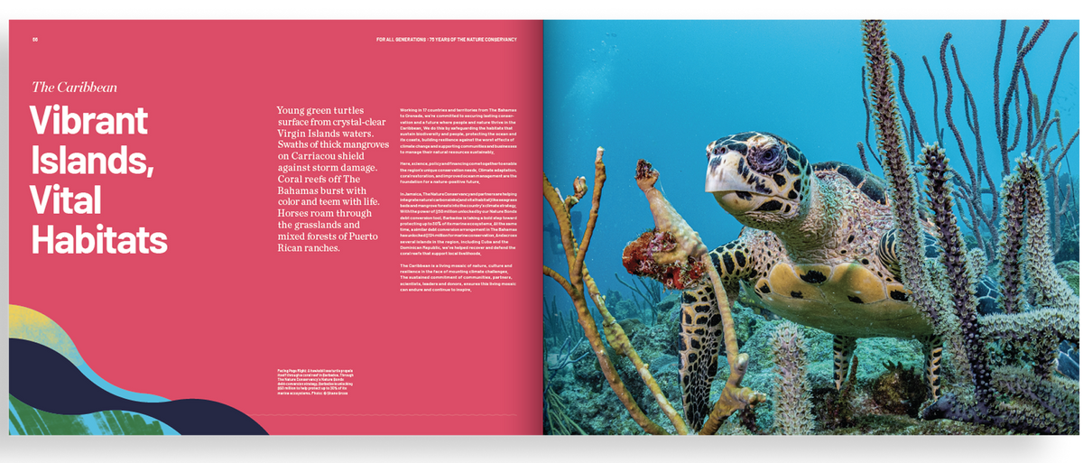 Interior Pages 1 - 75th Photo Book